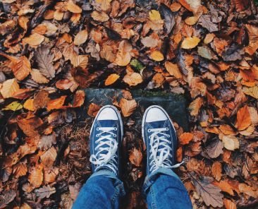 autumn-close-up-color-267313