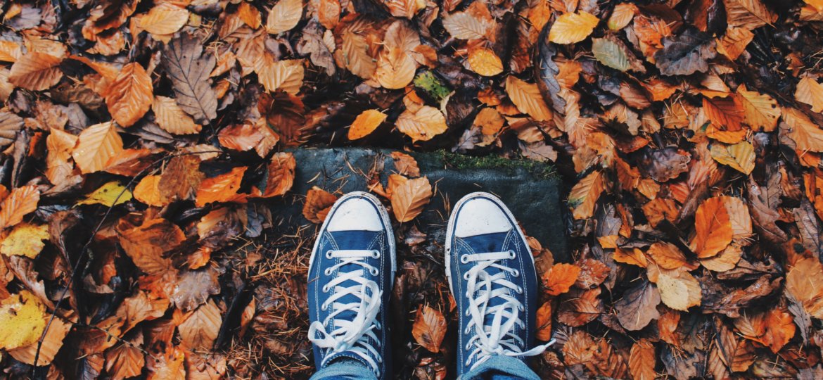autumn-close-up-color-267313