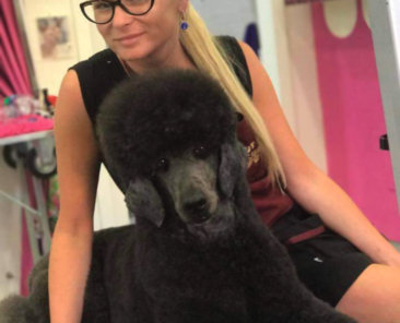 dog1 copia