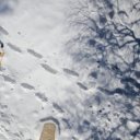 snow-shoe-hike-2875538_1920