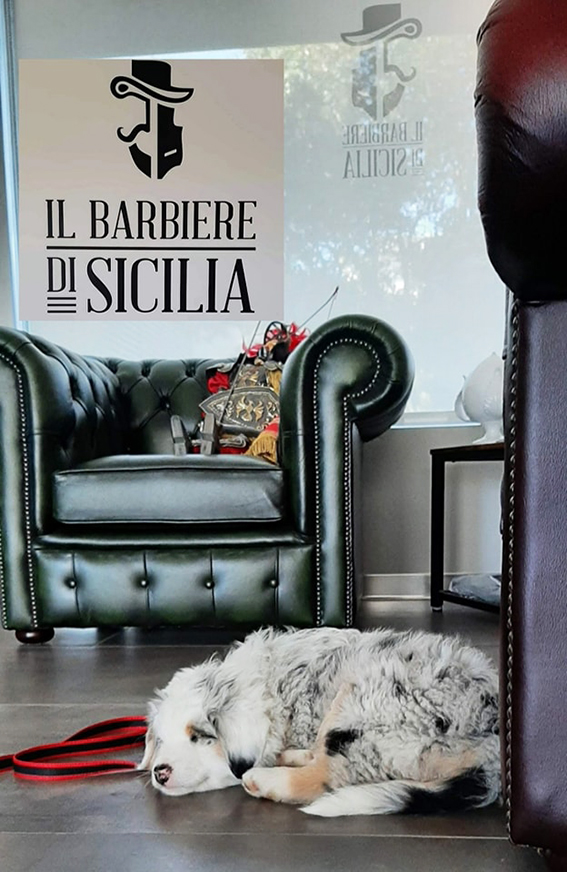Barbiere WA