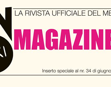 Layout 1